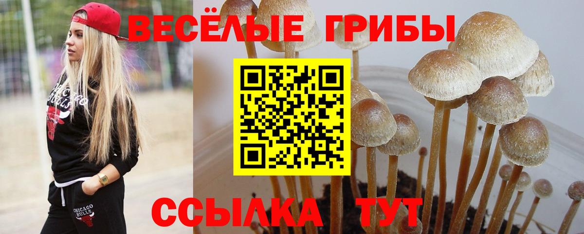 Галлюциногенные грибы ЛСД Кимры